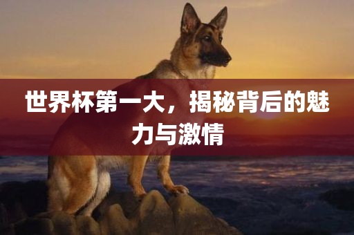 世界杯第一大，揭秘背后的魅力与激情