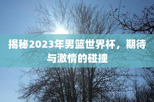 揭秘2023年男篮世界杯，期待与激情的碰撞