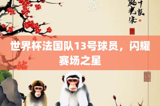 世界杯法国队13号球员，闪耀赛场之星金炬实业股份有限公司
