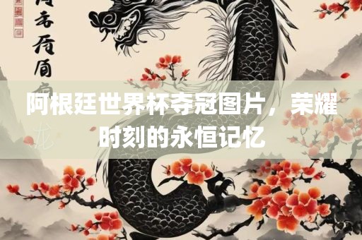 阿根廷世界杯夺冠图片，荣耀时刻的永恒记忆