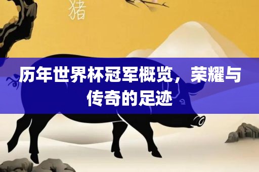 历年世界杯冠军概览，荣耀与传奇的足迹