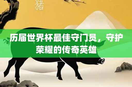 历届世界杯最佳守门员，守护荣耀的传奇英雄