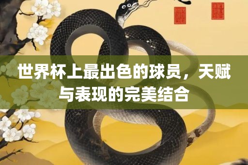 世界杯上最出色的球员，天赋与表现的完美结合金炬实业股份有限公司