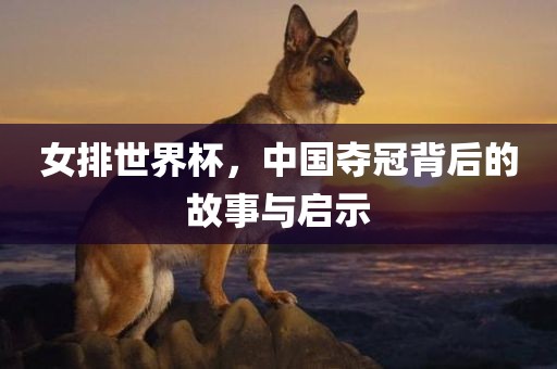 女排世界杯，中国夺冠背后的故事与启示