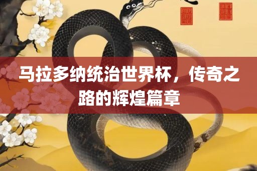 马拉多纳统治世界杯，传奇之路的辉煌篇章