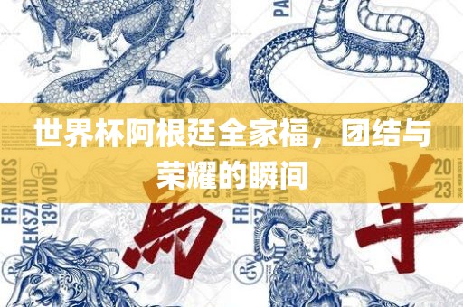 世界杯阿根廷全家福，团结与荣耀的瞬间