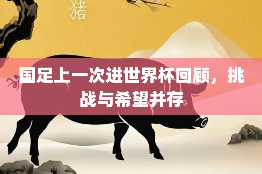 国足上一次进世界杯回顾，挑战与希望并存