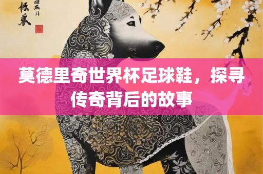 莫德里奇世界杯足球鞋，探寻传奇背后的故事