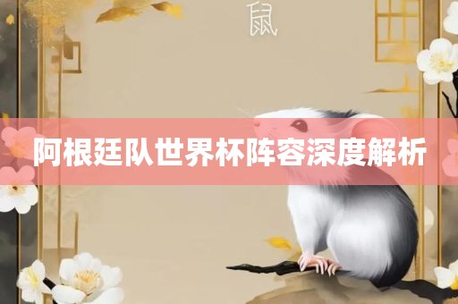 阿根廷队世界杯阵容深度解析