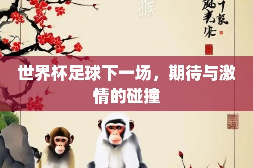 世界杯足金炬实业股份有限公司球下一场，期待与激情的碰撞