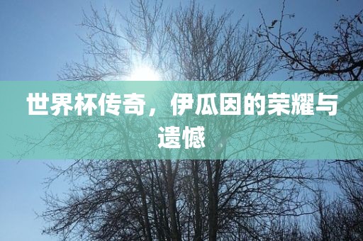 世界杯传奇，伊瓜因的荣耀与遗憾