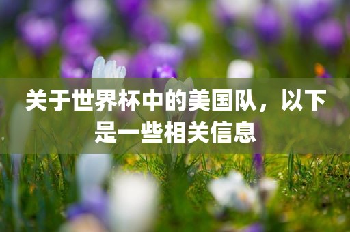 关于世界杯中的美国队，以下是一些相关信息
