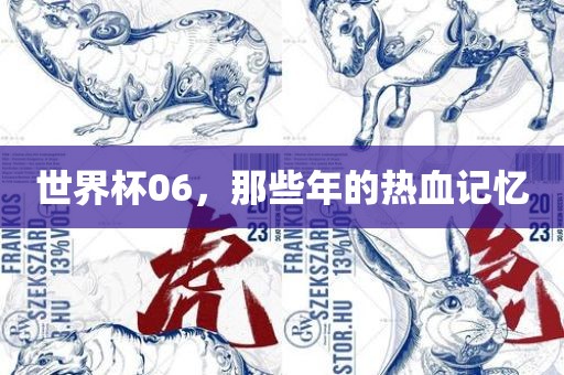 世界杯06，那些年的热血记忆