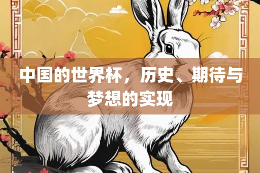 中国的世界杯，历史、期待与梦想的实现金炬实业股份有限公司