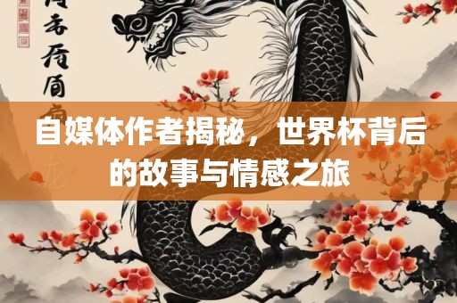 自媒体作者揭秘，世界杯背后的故事与情感之旅