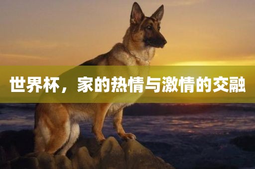 世界杯，家的热情与激情的交融