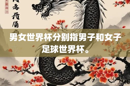 男女世界杯分别指男子和女子足球世界杯。
