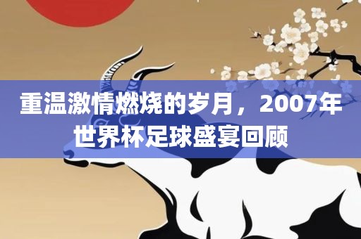 重温激情燃烧的岁月，2007年世界杯足球盛宴回顾