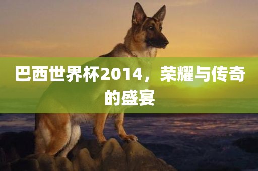 巴西世界杯2014，荣耀与传奇的盛宴
