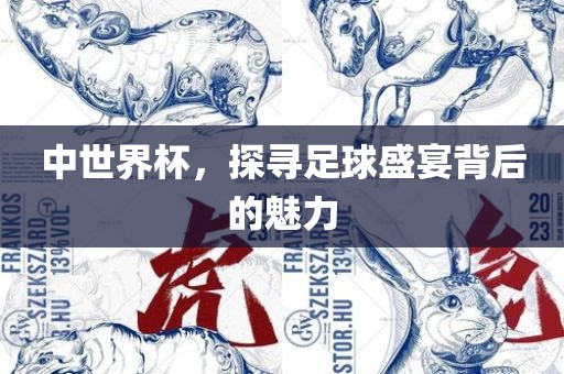 中世界杯，探寻足球盛宴背后的魅力