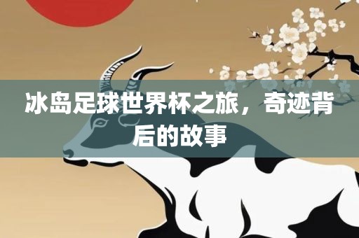 冰岛足球世界杯之旅，奇迹背后的故事