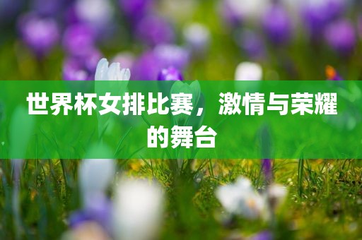 世界杯女排比赛，激情与荣耀的舞台