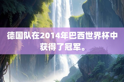 德国队在2014年巴西世界杯中获得了冠军。