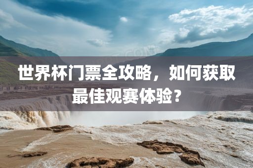 世界杯门票全攻略，如何获取最佳观赛体验？