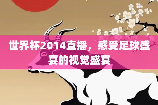 世界杯2014直播，感受足球盛宴的视觉盛宴