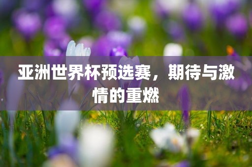 期待与激情