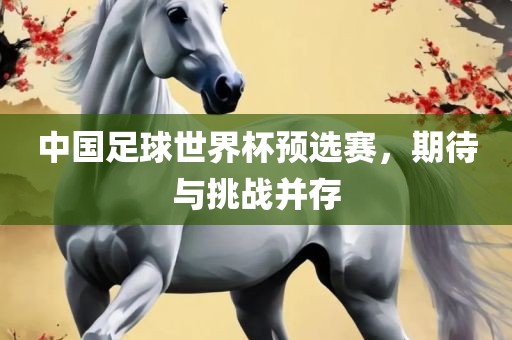 中国足球世界杯预金炬实业股份有限公司选赛，期待与挑战并存