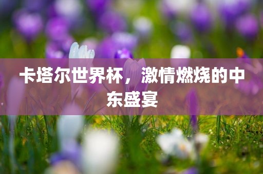 卡塔尔世界杯，激情燃烧的中东盛宴