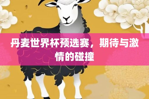 丹麦世界杯预选赛，期待与激情的碰撞