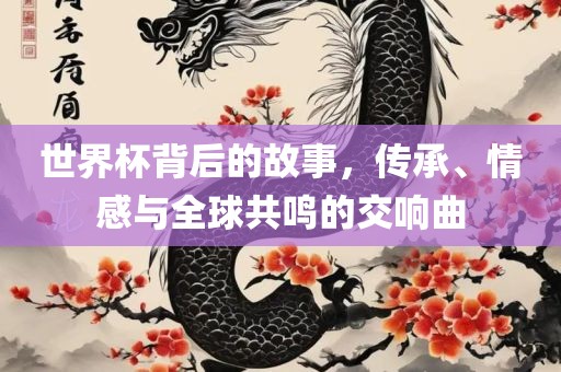 世界杯背后的故事，传承、情感与全球共鸣的交响曲