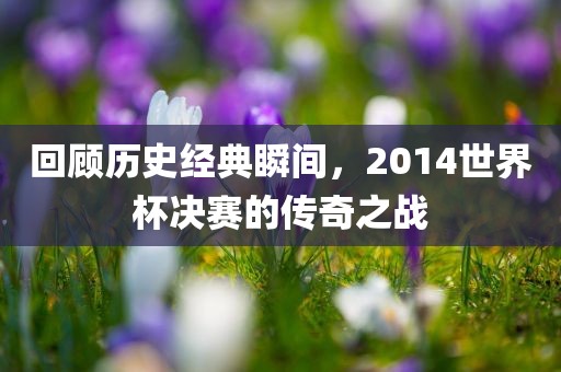 回顾历史经典瞬间，2014世界杯决赛的传奇之战