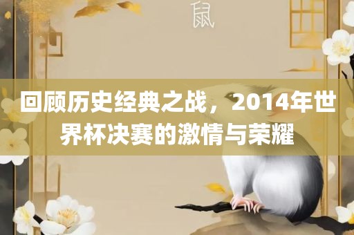 回顾历史经典之战，2014年世界杯决赛的激情与荣耀