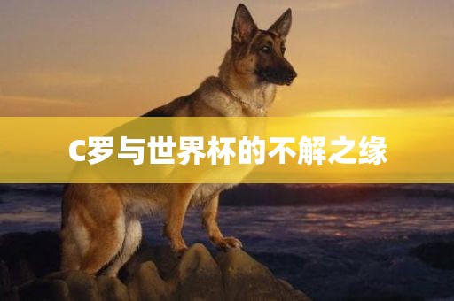 C罗与世界杯的不解之缘