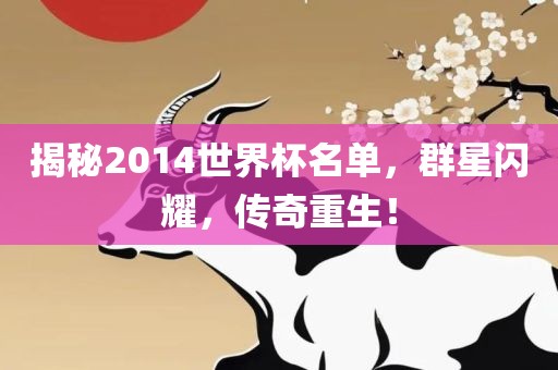 揭秘2014世界杯名单，群星闪耀，传奇重生！