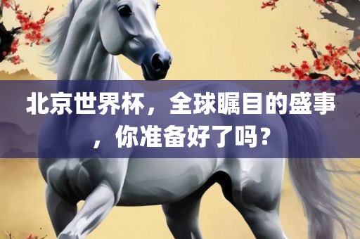 北京世界杯，全球瞩目的盛事，你准备好了吗？