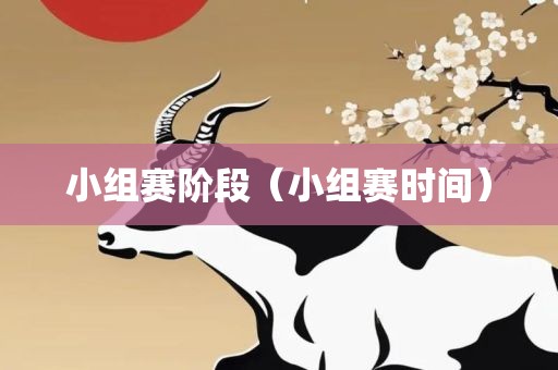 小组赛阶段（小组赛时间）