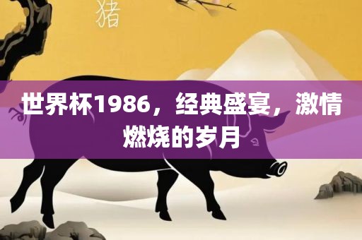 世界杯1986，经典盛宴，激情燃烧的岁月