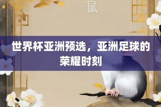 世界杯亚洲预选，亚洲足球的荣耀时刻金炬实业股份有限公司