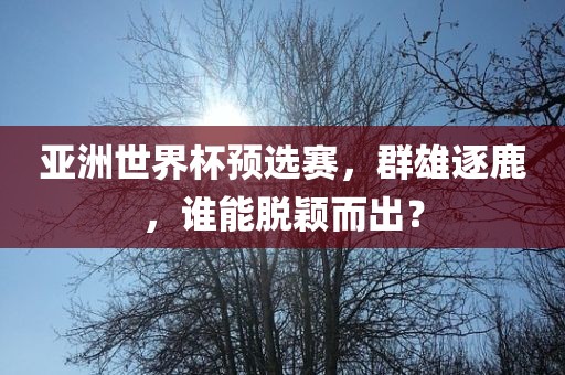 亚洲世界杯预选赛，群雄逐鹿，谁能脱颖而出？