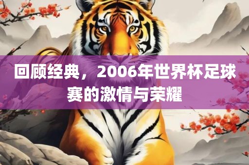 回顾经典，2006年世界杯足球赛的激情与荣耀