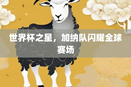 世界杯之星，加纳队闪耀全球赛场