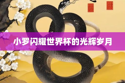 小罗闪耀世界杯的光辉岁月金炬实业股份有限公司