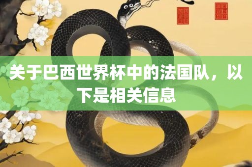 关于巴西世界杯中的法国队，以下是相关信息