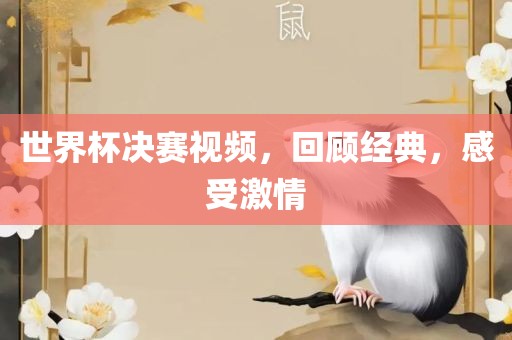 世界杯决赛视频，回顾经典，感受激情