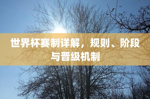 世界杯赛制详解，规则、阶段金炬实业股份有限公司与晋级机制