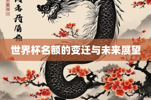 世界杯名额的变迁与未来展望
